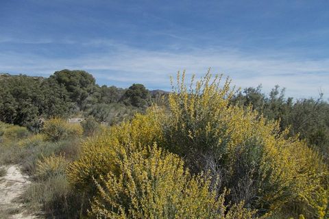 Cave house i Abanilla, Murcia, Abanilla - € 49.000 | Ref: SF0070 - foto 5